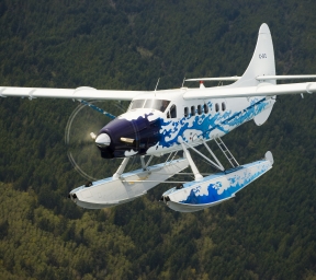 A blue and white DHC-3 Otter airplane in flight