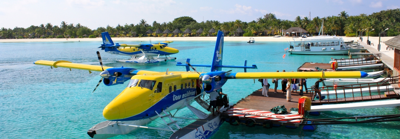 Viking 400S Seaplane docked on the water