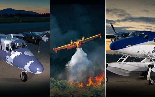 Viking Guardian, Aerial Firefighter and Viktoria aircraft combo image