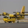 Aerial Fire Fighter CL-215