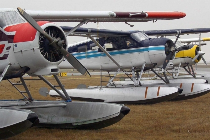 Three amphibious Beaver aircraft parked on grass